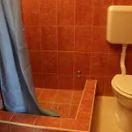 Zdrave Apartament *